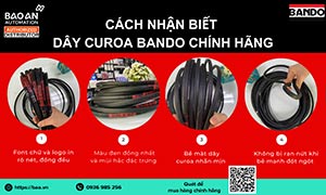 Dây curoa là gì? Cấu tạo, phân loại và ứng dụng của dây curoa